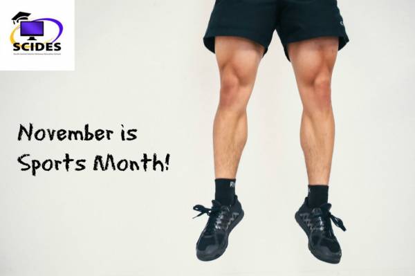 November is Sports Month at SCIDES!