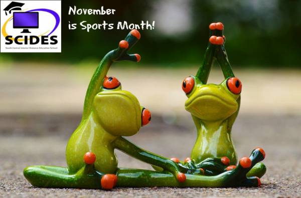 November is Sports Month at SCIDES